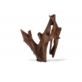 RACINE MANGROVE GM 40-60CM