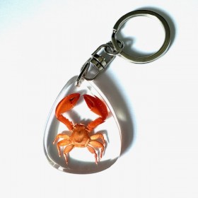 Porte-clefs crabe