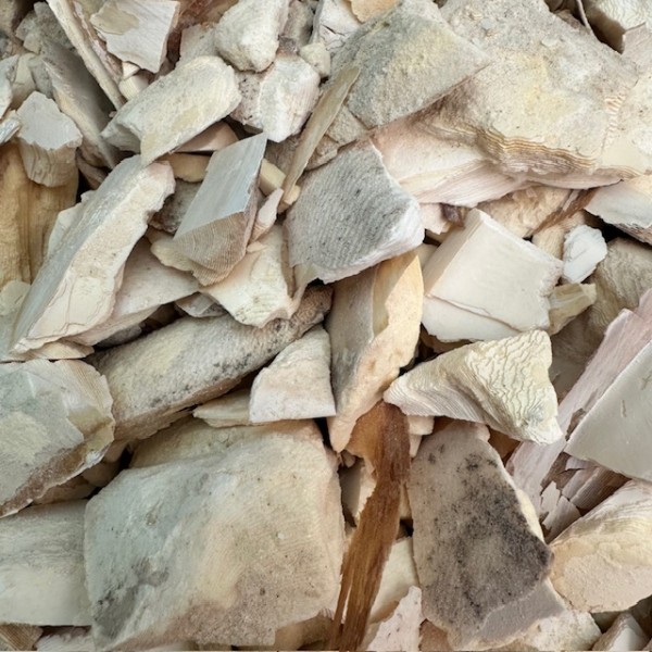 Fragments d'os de seiche 250 ml Fragments d'os de seiche 250 ml