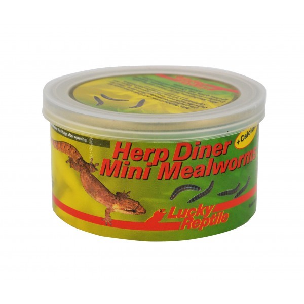 Herp Diner - Vers de farine Mini 35g