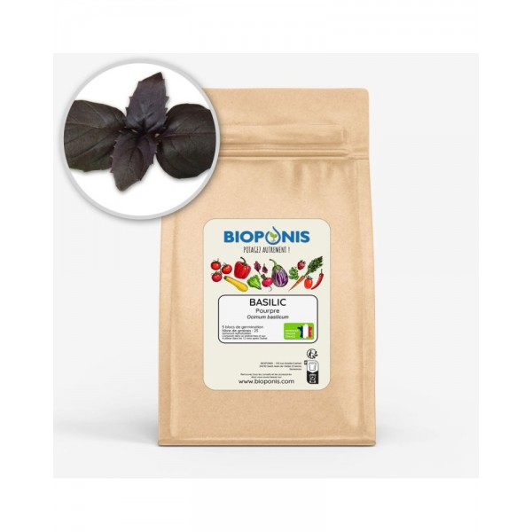 BASILIC POURPRE