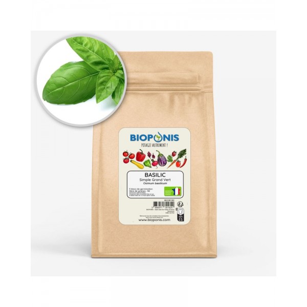 BASILIC SIMPLE GRAND VERT BASILIC SIMPLE GRAND VERT