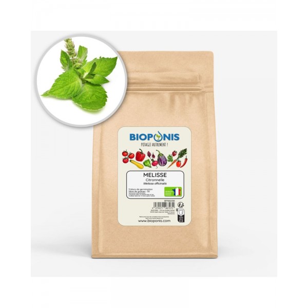 MÉLISSE CITRONNELLE MÉLISSE CITRONNELLE