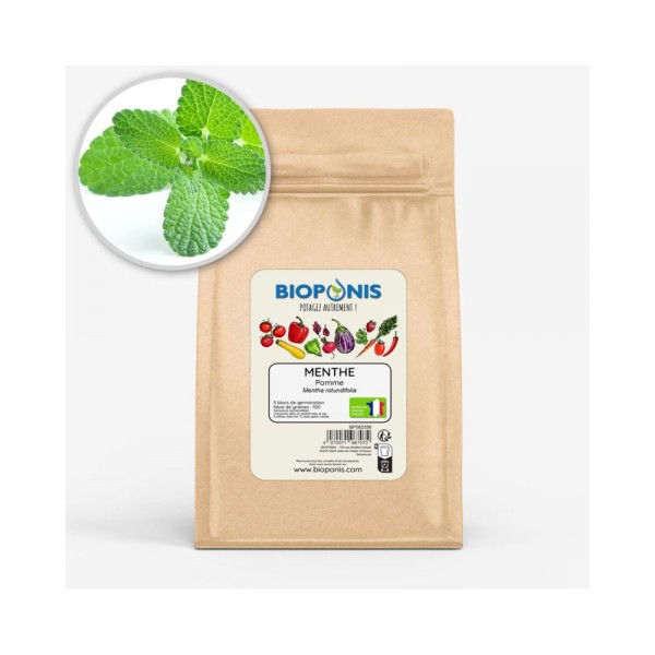 MENTHE POMME MENTHE POMME
