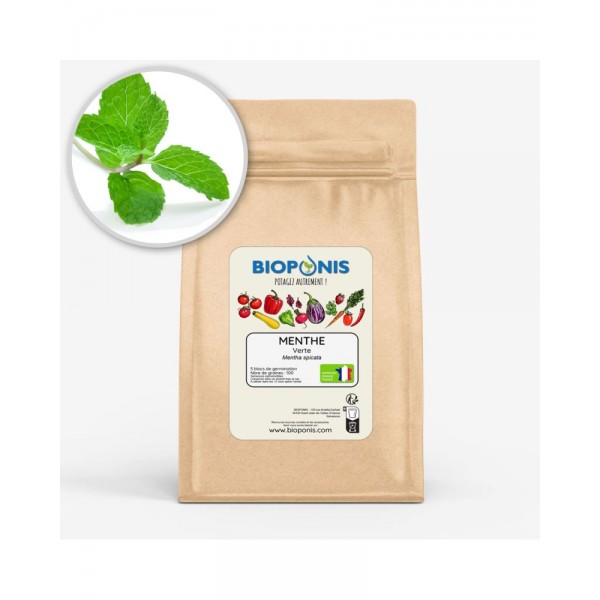 MENTHE VERTE