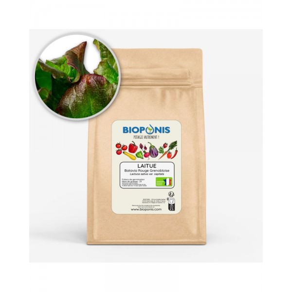 BATAVIA ROUGE GRENOBLOISE BATAVIA ROUGE GRENOBLOISE