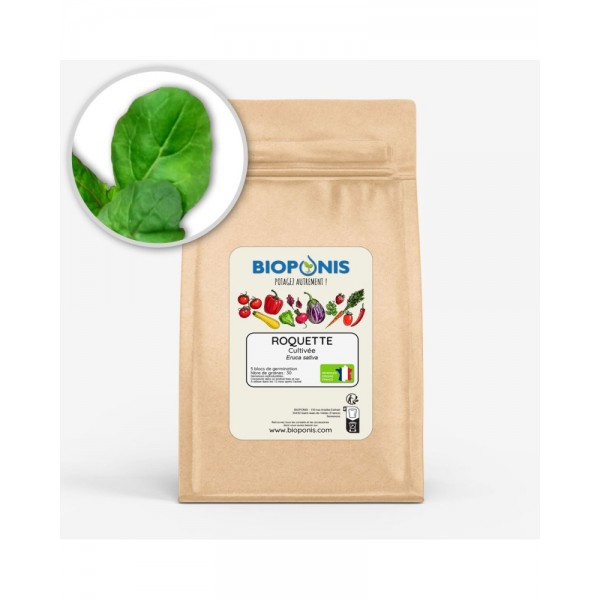 ROQUETTE CULTIVÉE ROQUETTE CULTIVÉE