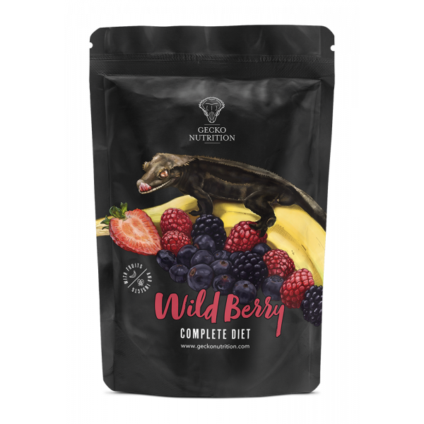 Gecko nutrition Baie sauvage