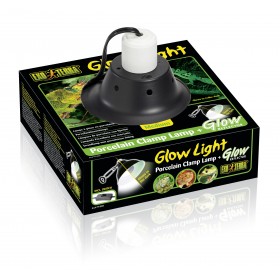 GLOW LIGHT MEDIUM 21 CM