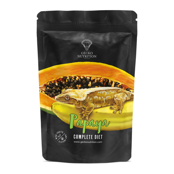 Gecko nutrition Papaye