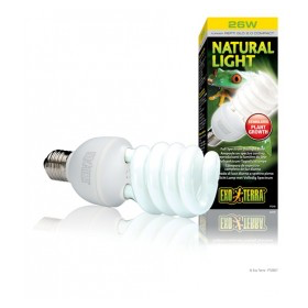 Natural Light	25 w