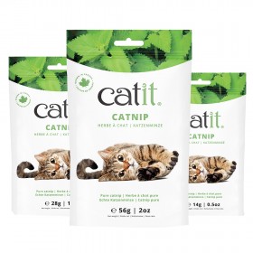 Herbe à chat pure - Catit -...