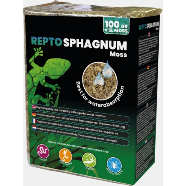 REPTO MOUSSE DE SPHAIGNE 100G