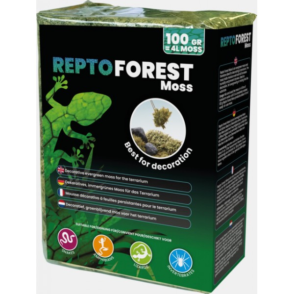 REPTO MOUSSE DE FORET 100G
