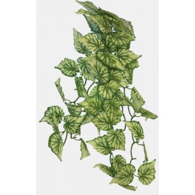 REPTO PLANT HANGING HEDERA...