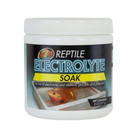 ELECTROLYTE SOAK 227g ZOOMED