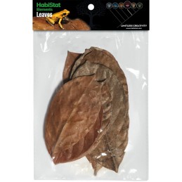 HABISTAT JACKFRUIT LEAVE 10 X