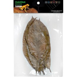 HABISTAT RUBBER LEAVE 10 X