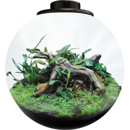 Terra BIO ART BOWL 225 NOIR