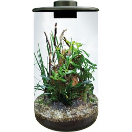 Terra BIO ART CYLINDER 285...