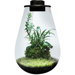 Terra BIO ART DROP 285 NOIR