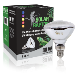 Solar Raptor 80 W