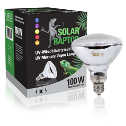 Solar Raptor 100 W