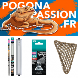Pack compléments S Pogona Passion Fr