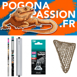 Pack compléments L Pogona...