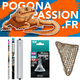 Pack compléments XL Pogona...