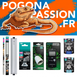 Pack référence S Pogona Passion Fr