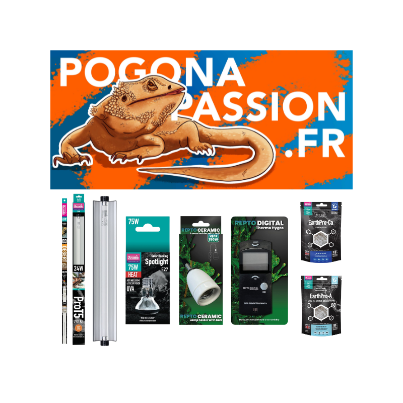 Pack référence S Pogona Passion Fr Pack référence S Pogona Passion Fr