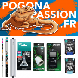 Pack référence XL Pogona Passion Fr