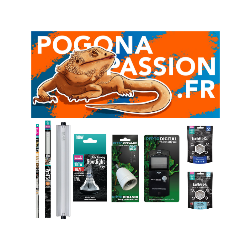 Pack référence XL Pogona Passion Fr Pack référence XL Pogona Passion Fr