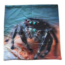 housse de coussin phidippus