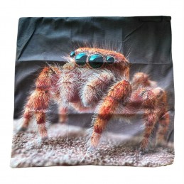 housse de coussin phidippus...