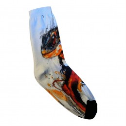 Paire de Chaussettes lézard...