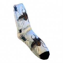 Paire de Chaussettes...