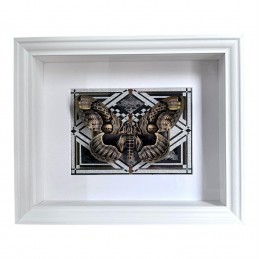 Brahmaea hearseyi cadre...