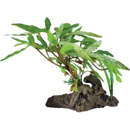 REPTO PLANT SUR DECO A 3...