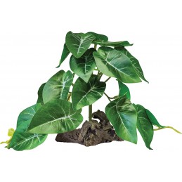 REPTO PLANT SUR DECO...