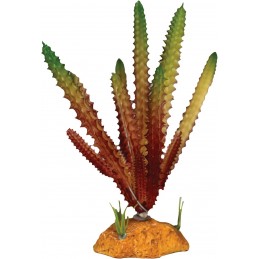 REPTO PLANT CACTUS NEEDLE...