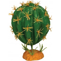 REPTO PLANT CACTUS ORB