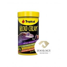 GECKO CREAM FIGUE 100ml