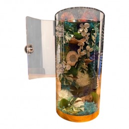 Terrariums premium design...