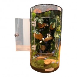 Terrariums premium design...
