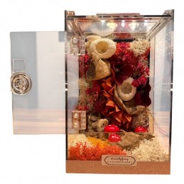 Terrariums premium design...