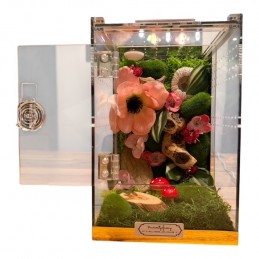 Terrariums premium design...