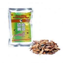 Mélange pour dragon barbu...