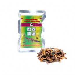 Mélange pour bébé gecko...